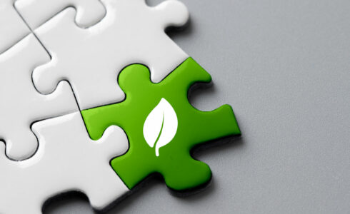 beneficios de los productos sostenibles y desechables