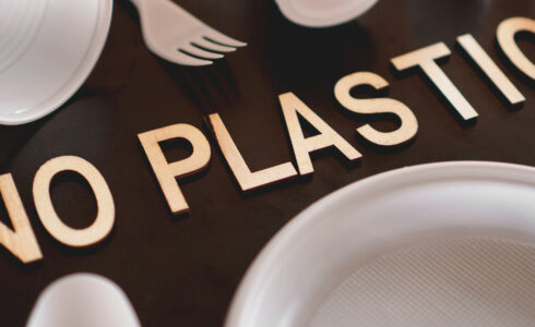 venta de productos desechables