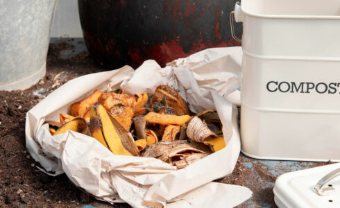 diferencia entre biodegradable y compostable