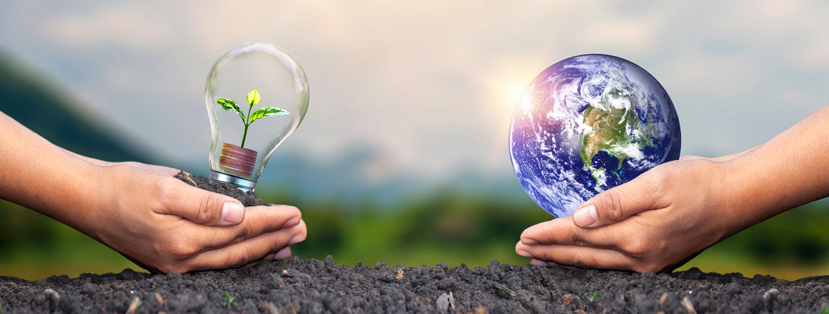 calcular la huella de carbono particular y empresarial