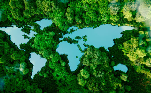 Cumbre del Cambio Climatico 2023