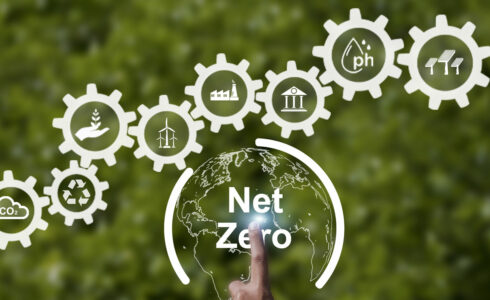 tendencias en sostenibilidad 2024