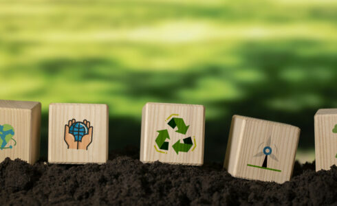 Los mejores ejemplos de sostenibilidad