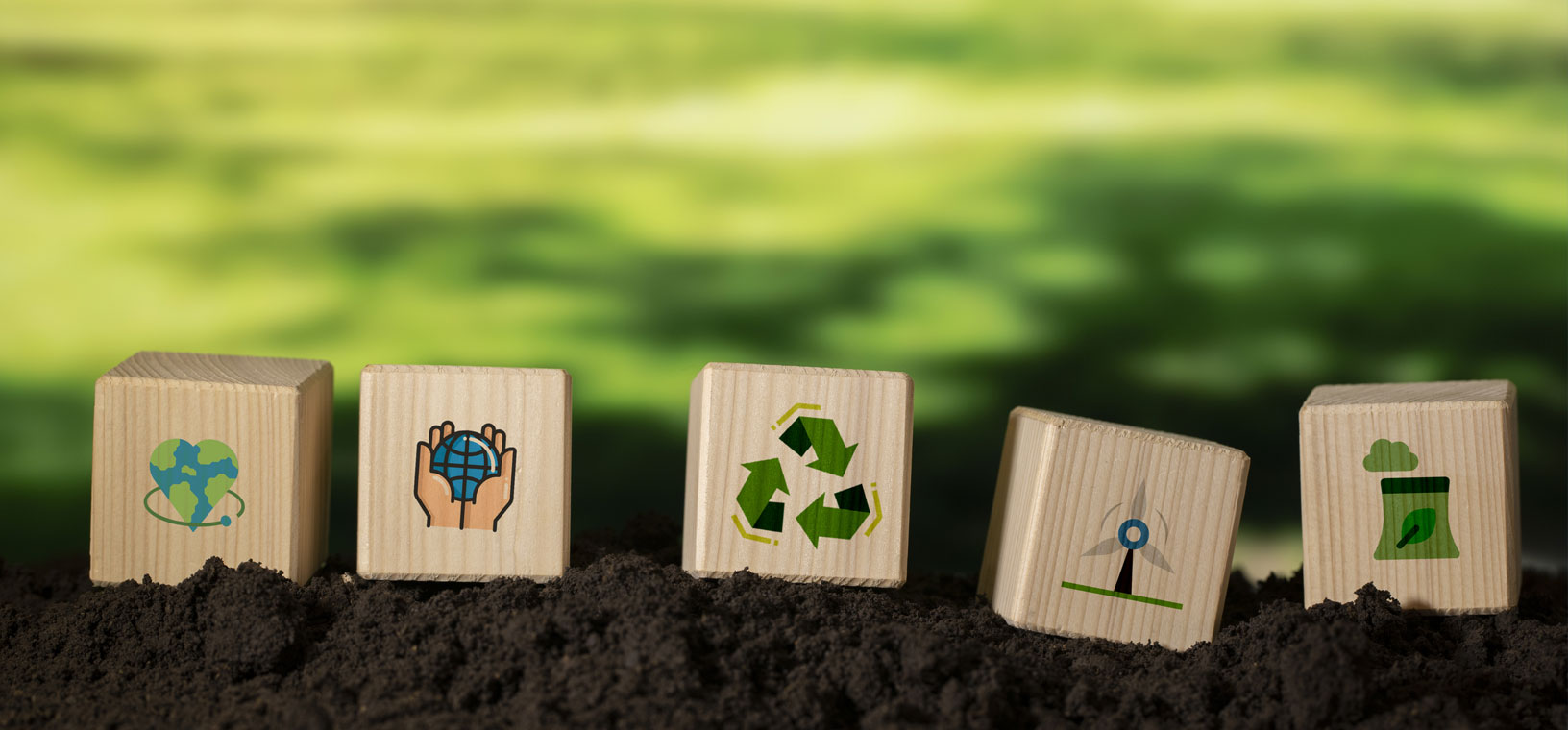 Los mejores ejemplos de sostenibilidad