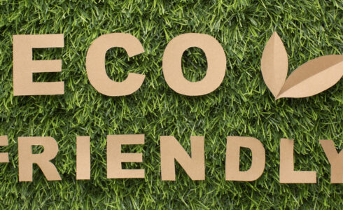 productos eco-friendly