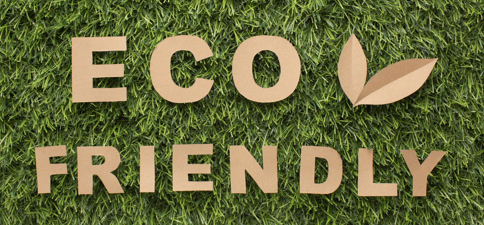 productos eco-friendly