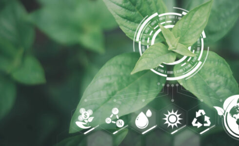 Certificaciones de sostenibilidad