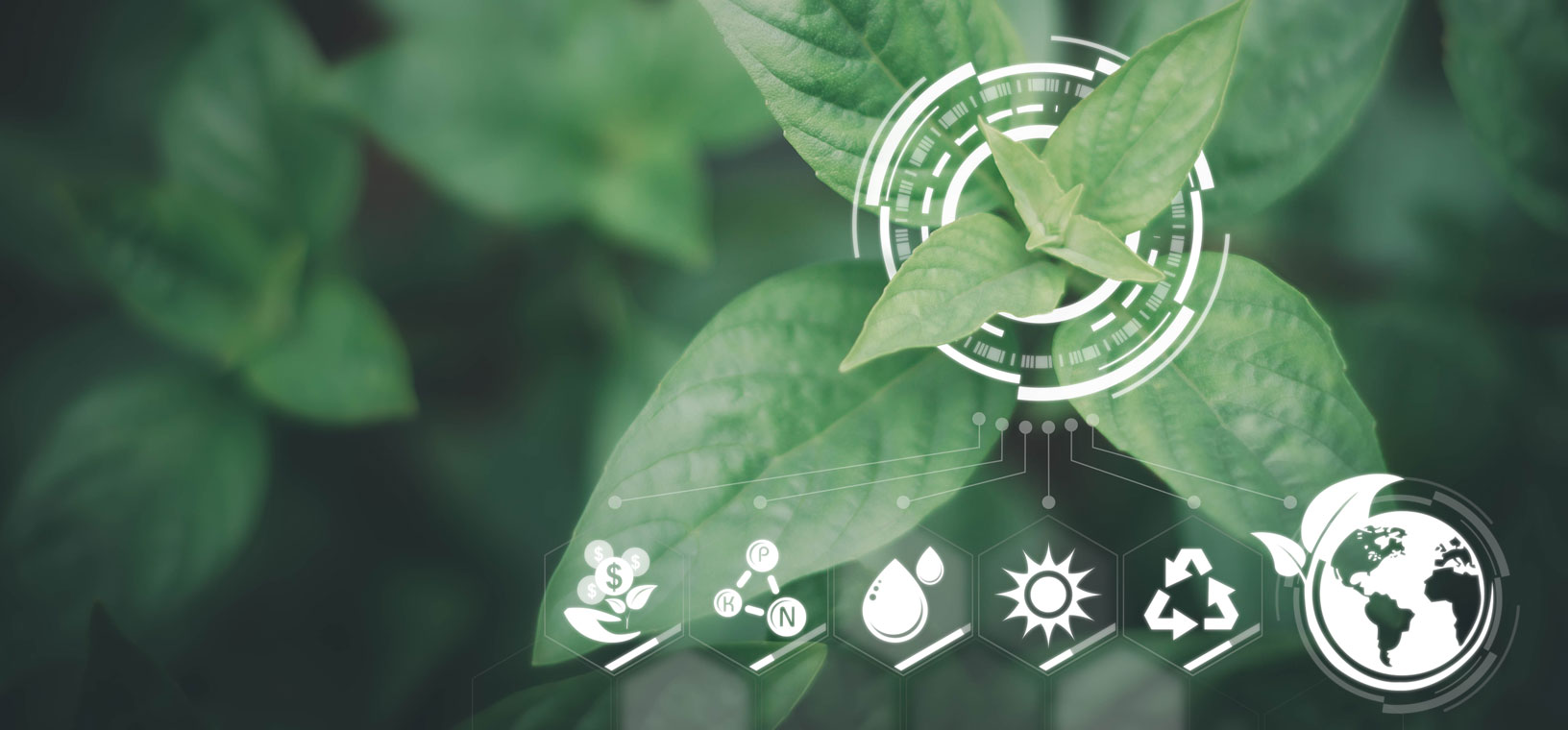 Certificaciones de sostenibilidad