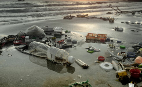 evitar la contaminación marina